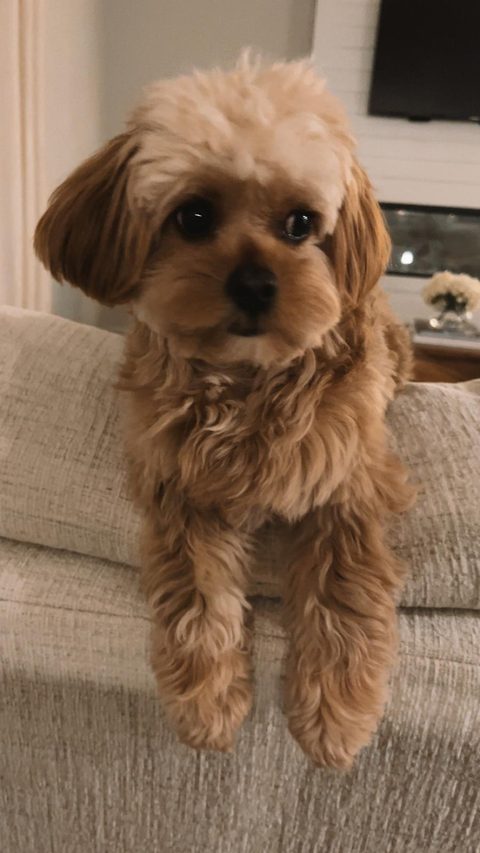 Bailey, MASA's Chief Moving Officer